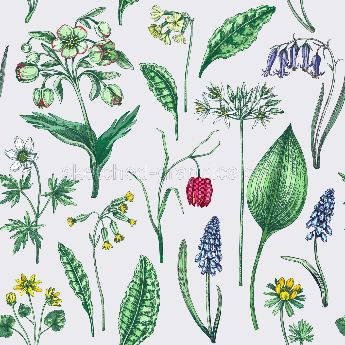Spring flowers seamless pattern. Wildflowers background. Forest plant, greenery, wild flowers sketches. Hand drawn vector illustration. Not AI-generated Illustration